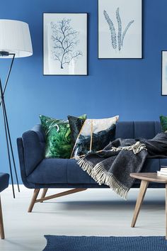 a living room with blue walls and pictures on the wall above the couch is a coffee table