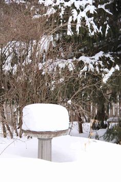 a bird bath in the middle of a snowy yard with trees and bushes behind it