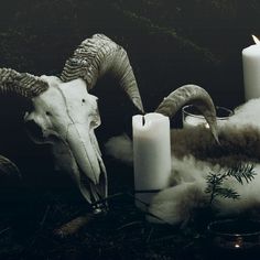 an animal with long horns is surrounded by candles and other items in black and white