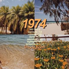 an image of the beach with flowers and palm trees in front of it that reads 1974