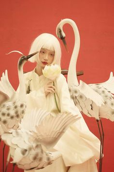 a woman with white hair holding a flower in front of two swans and one bird