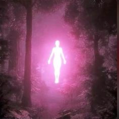 a person standing in the middle of a forest with pink light coming from their body