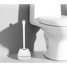 a white toilet sitting next to a wall with a brush in it's bowl