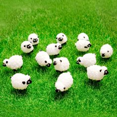 small white sheep are sitting in the grass together on some green grass with black eyes