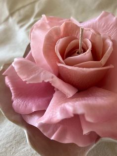 a pink rose sitting on top of a white plate with a ring in it's center