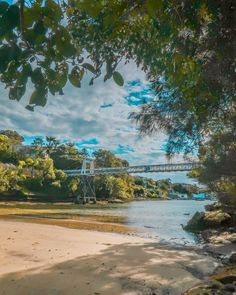 parsley bay reserve and bridge in sydney harbour Most Instagrammable Places