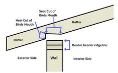 the parts of a bird's mouth are labeled in blue and white text on a white background