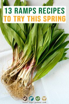 some green onions are laying on top of each other with the words 13 ramps recipes to try this spring