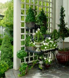 an outdoor patio with potted plants on it