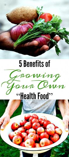 Growing your own vegetables and fruits offers health and wellness benefits. Here the most important benefits of growing your own health food. Environment Essay, Food Growing, Health Drinks Recipes, Homegrown Food, Food Gardening, Education University, Greek Yogurt Recipes, It's Monday, Different Vegetables