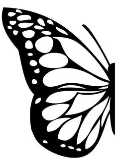 a black and white butterfly with spots on it's wings