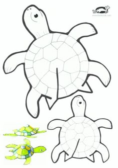 two turtles and one turtle swimming in the water