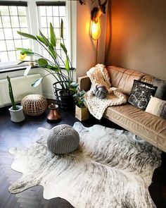 a living room filled with lots of furniture next to a large potted plant on top of a hard wood floor