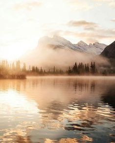 Early morning in Banff National Park shot by @stevint Banff National Park, Mountain Lake, Mist, National Park, The Sun, Trees, Lake, Sun, Water