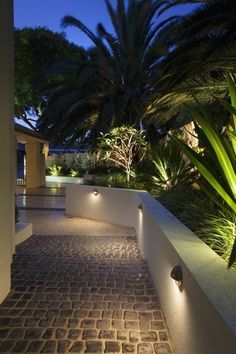 an outdoor walkway lit up at night with plants and trees in the backround