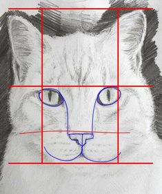 a drawing of a cat's face with blue lines in the middle and red squares around it