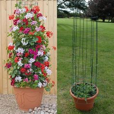 two flower pots with flowers in them next to a fenced in area that has stones and grass