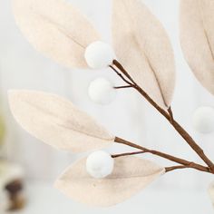 a branch with some white balls on it