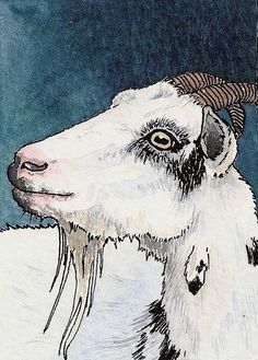 a drawing of a goat with horns on it's head, looking to the side