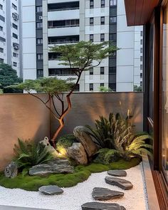 a bonsai tree in the middle of a small garden with rocks and grass on the ground