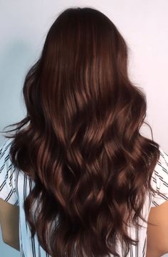 Warm Chocolate Brown Hair Color, Dark Cinnamon Brown Hair, Hair Dye Ideas Brown, Warm Rich Chocolate Brown Hair, Dark Cinnamon Hair Color, Solid Brunette Hair Color, Pelo Chocolate Caramelo, One Color Hair, Brown Tones Hair