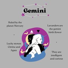 an image of the name and description of some things in this book, gemini