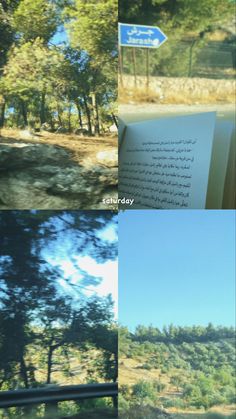 some trees and signs on the side of a road with blue sky in the background