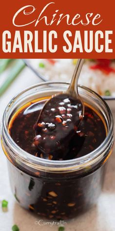 a spoon full of chinese garlic sauce on top of a table with the title above it