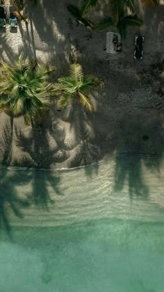 an aerial view of the water and palm trees