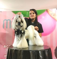 a woman standing next to two dogs on top of a table