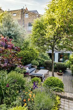 an outdoor garden with lots of plants and trees