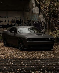 a black sports car parked in front of a graffiti covered wall with trees and leaves on the ground