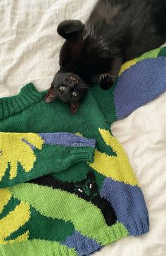 a black cat laying on top of a green sweater