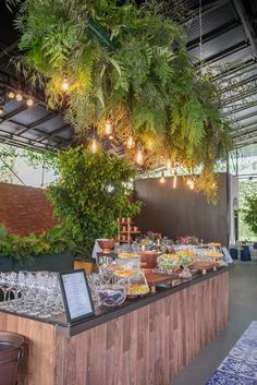 an outdoor bar with lots of food and drinks on the counter, surrounded by greenery