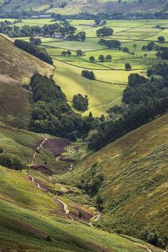 a lush green hillside covered in lots of trees and grass next to a forest filled valley