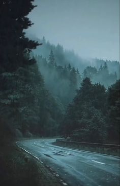 an empty road in the middle of a foggy forest