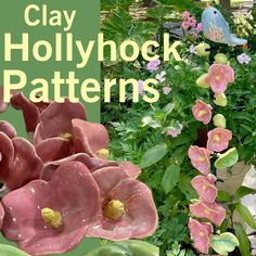 there are many different flowers and plants in the garden with text overlay that reads clay hollyhock patterns