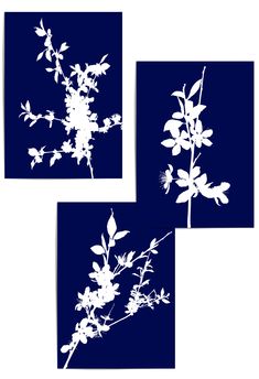 three white silhouettes of flowers against a dark blue background, each with an individual's own image