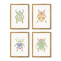 four framed pictures with bugs on them