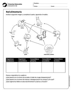 an animal life cycle worksheet for students to practice their reading and writing skills