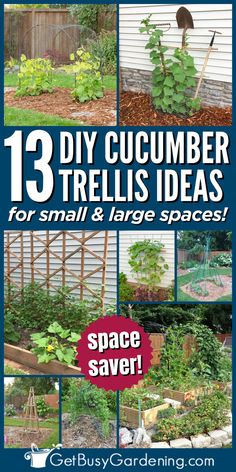 various trellis with vegetables growing over them in vegetable gardens Outdoor Trellis Ideas, Cucumber Trellis Diy, Climbing Plants Trellis, Vertical Trellis, Teepee Trellis, Vegetable Trellis, Garden Trellis Ideas, Cucumber Gardening, Small Trellis