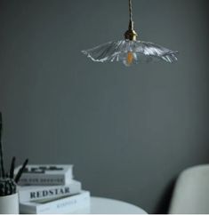 a lamp hanging from a ceiling in a living room next to a table with books on it