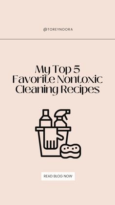 the front cover of my top 5 favorite nontoxic cleaning recipes