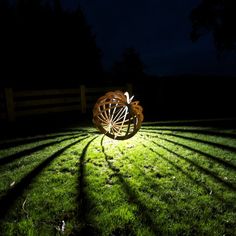 the light is shining on the grass in the dark yard, and it's casting long shadows