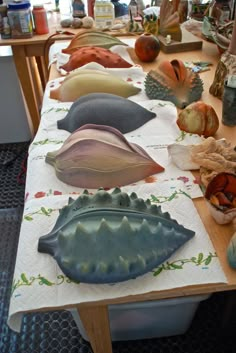 a table topped with lots of different types of seashells on top of paper towels