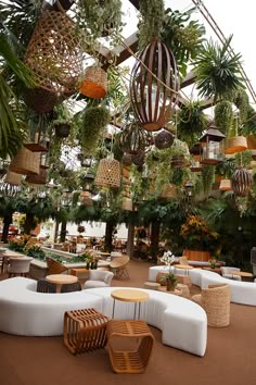 a room filled with lots of different types of plants hanging from the ceiling and chairs