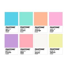 the pantone color chart is shown with different colors and font on each one side