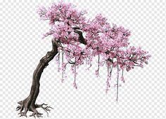 a pink tree with lots of flowers on it's branches, against a white background