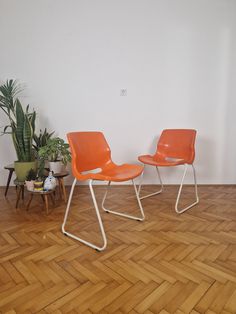 two orange chairs sitting on top of a hard wood floor next to a potted plant