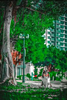 a dog that is standing in the grass next to a street light and tree with green leaves on it